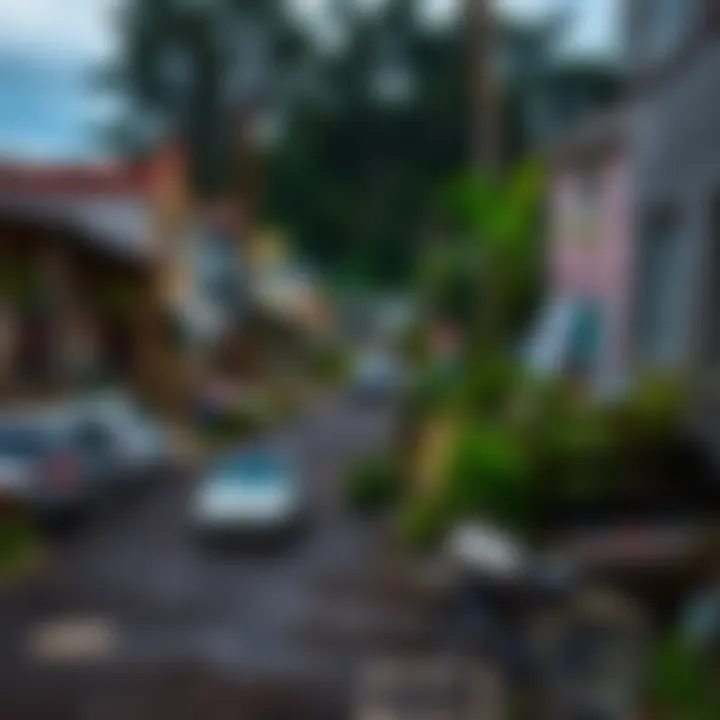 Community disaster risk assessment using maps and data analysis tools